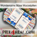 Wundersame Böse Wurzelpillen kamagra1